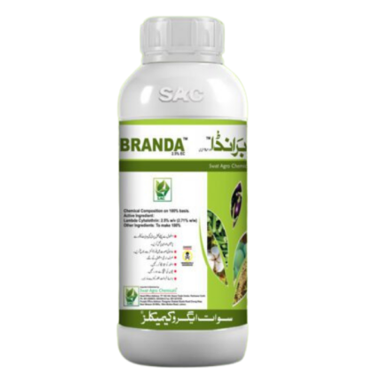 Branda