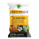 Furti NS Plus