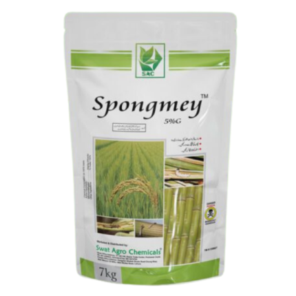 Spongmey