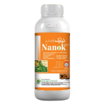 Nanok