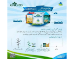 SOP Power - Image 3